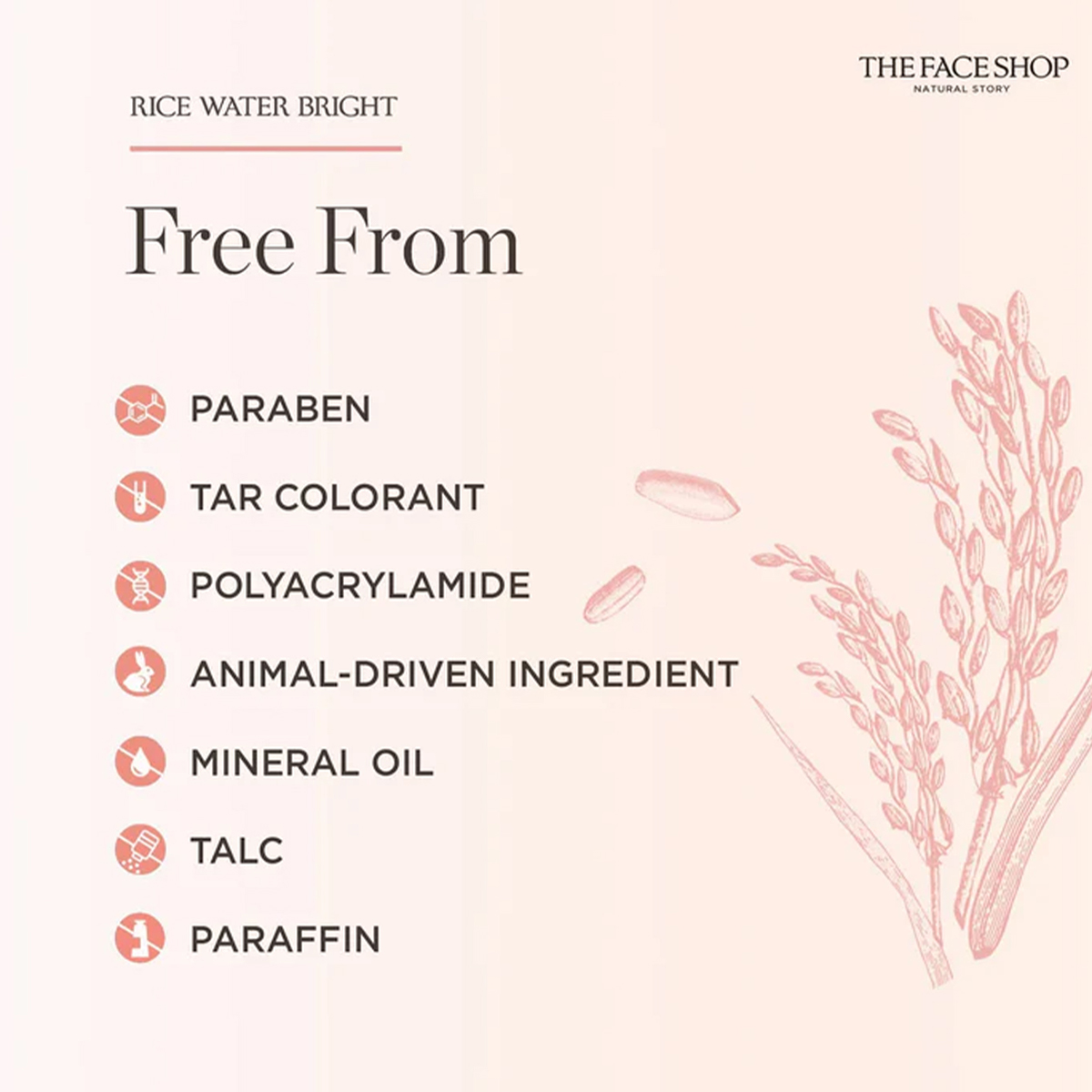THE FACE SHOP RICE WATER BRIGH - огляд і ціна High Luxury Skincare